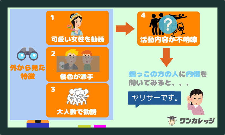 ヤリサー 特徴
