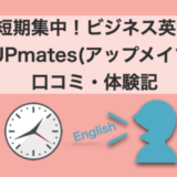 アップメイツ 評判